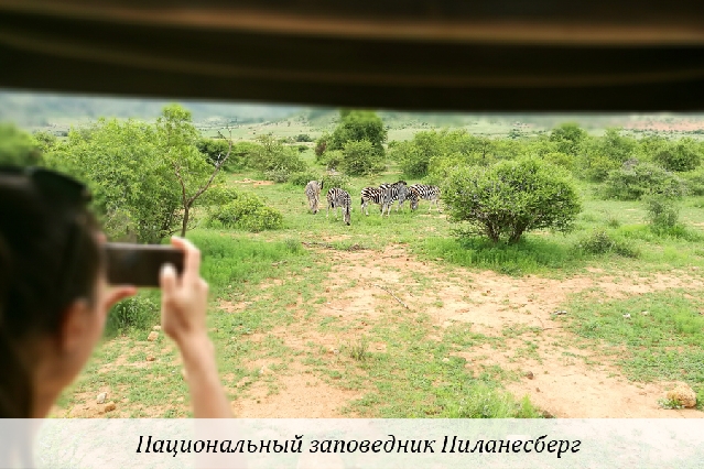Национальный заповедник Пиланесберг.