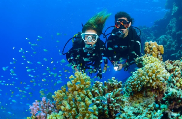 Дайвинг и снорклинг (Diving & snorkeling)